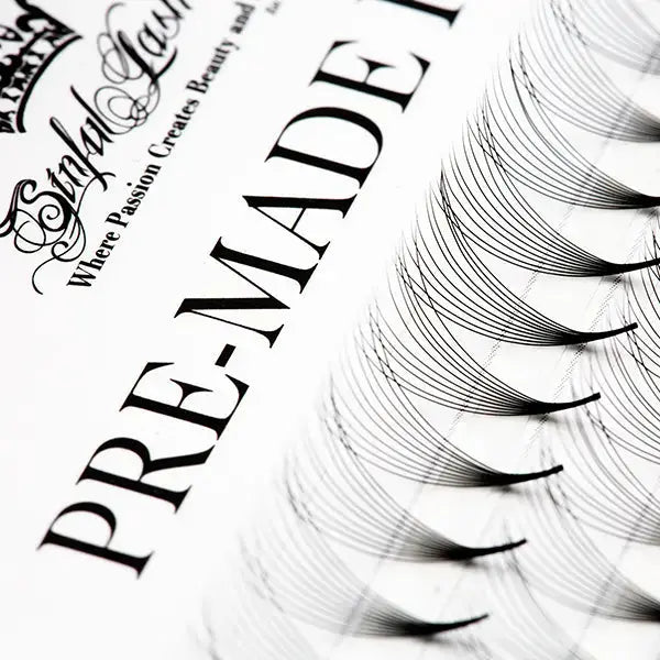 betyder Sørge over Emigrere Premade Lash Extension Fans 10D Mix Tray – Sinful Lashes